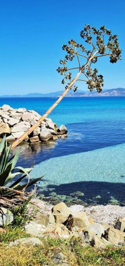 T2 D'Exception 100M Plage Terrasse Vue Mer Et Montagnes بروبرِيانّو المظهر الخارجي الصورة